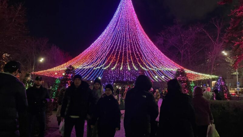 Новый год к нам мчится: куда сходить в новогодние праздники в Краснодаре