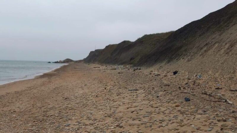 Песок после очистки от мазута не планируют возвращать на пляжи