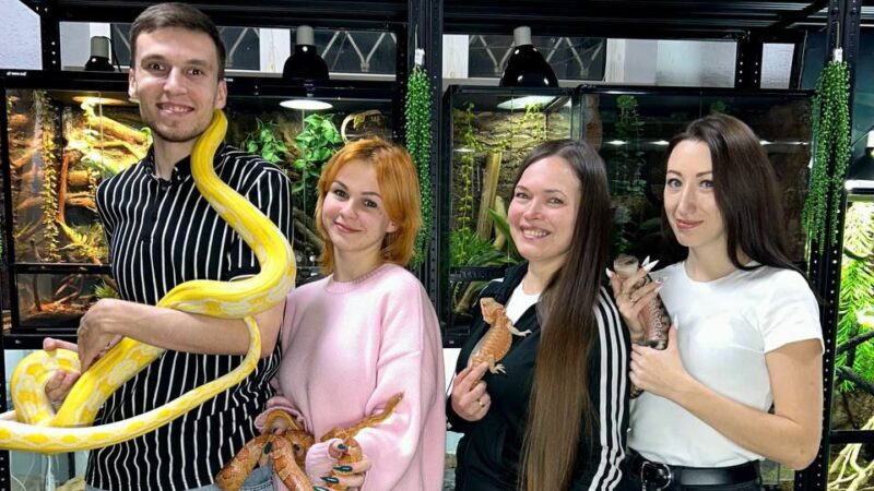 «Приходят с фобиями, уходят с привязанностью»: как жительницы Краснодара прививают любовь к змеям