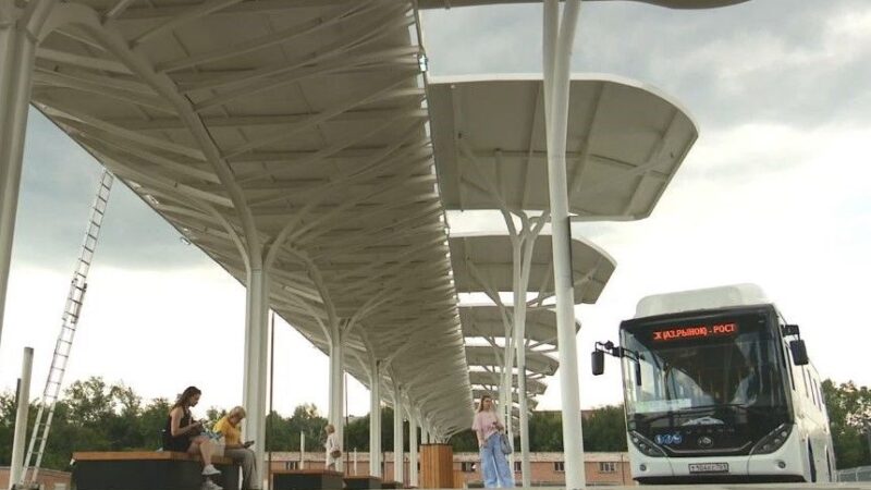 Главой минтранса Ростовской области назначена Алена Беликова