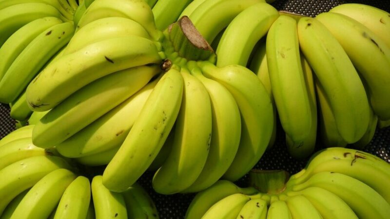 Объем импорта бананов в Краснодарский край в 2024 г вырос в 14 раз