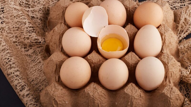 МЧС предупредило о риске появления новых очагов птичьего гриппа на Дону