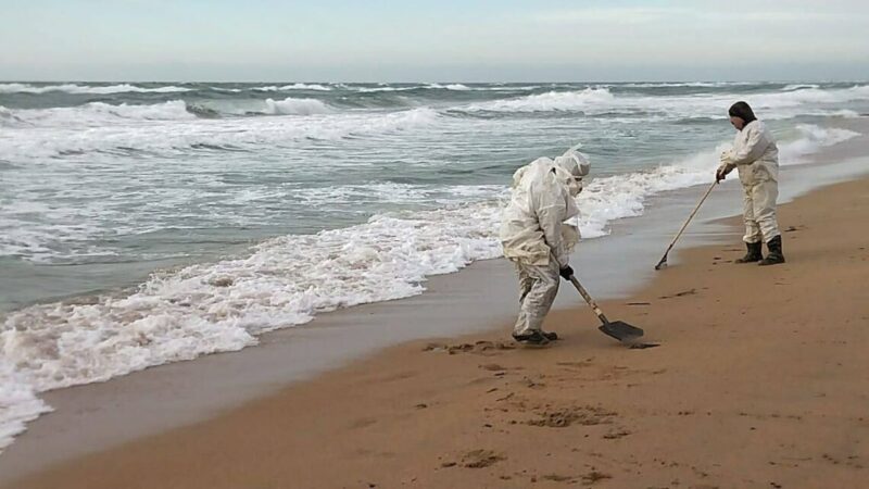 Пляжи на Кубани к лету приведут в нормативное состояние