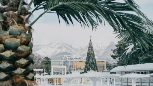 На Кубани турпоток в новогодние праздники 2025 г. вырос на 10%