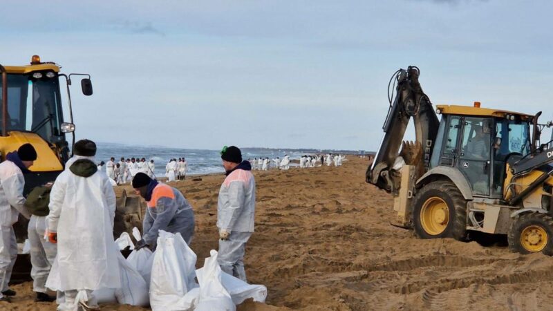 На Кубани провели эксперимент по сбору мелких фракций мазута в море