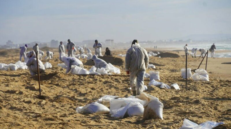 Треть замазученного песка на Кубани планируют утилизировать