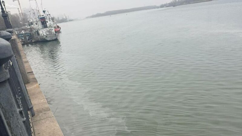 Выброс солярки в реку Дон выявили в Ростове