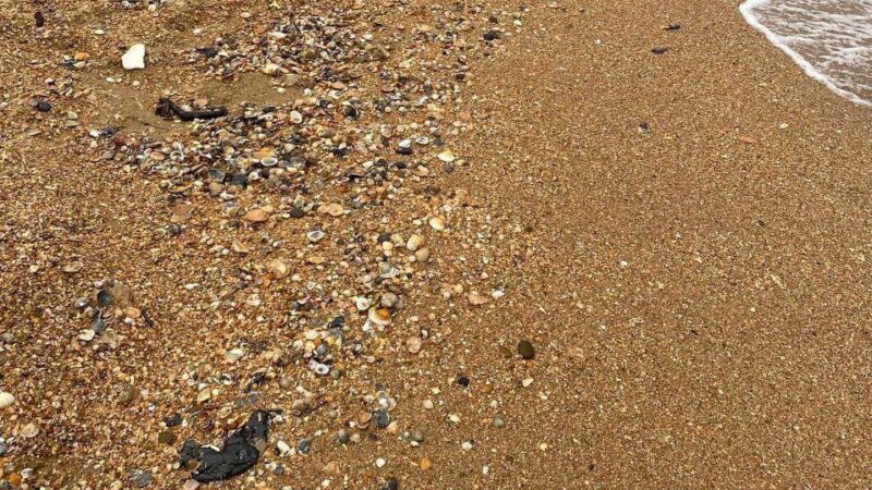 В «Сколково» предложили новую технологию очистки песка от мазута