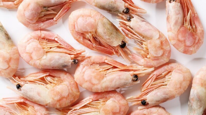 Импорт креветок в Краснодарский край в 2024 г вырос в 7 раз