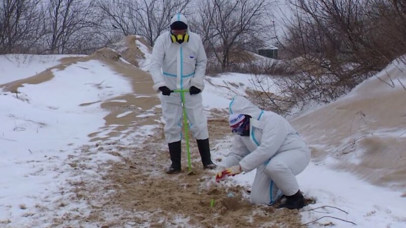 В Анапе открыли научный штаб для отработки способов очистки берега от мазута
