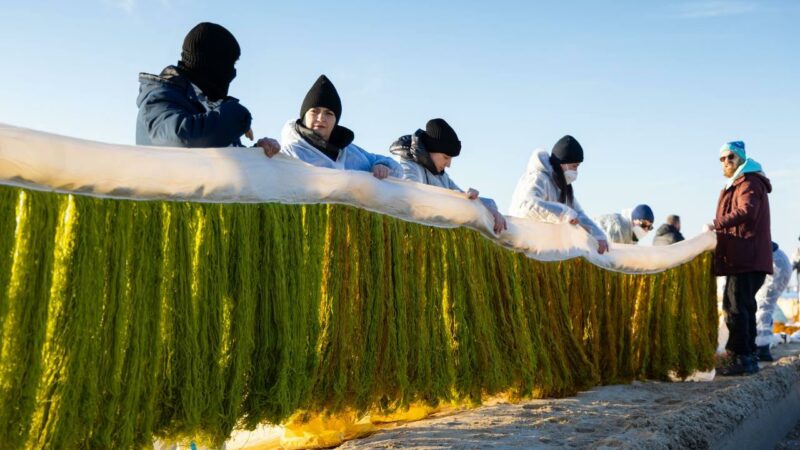 В Анапе планируют установить 5 км биобонов для защиты пляжей от мазута