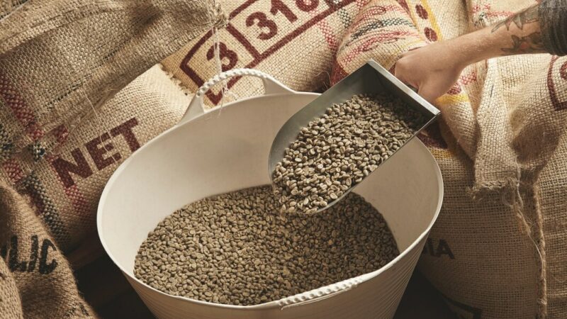 Объем импорта семян на Кубань в 2024 году сократился в 3 раза