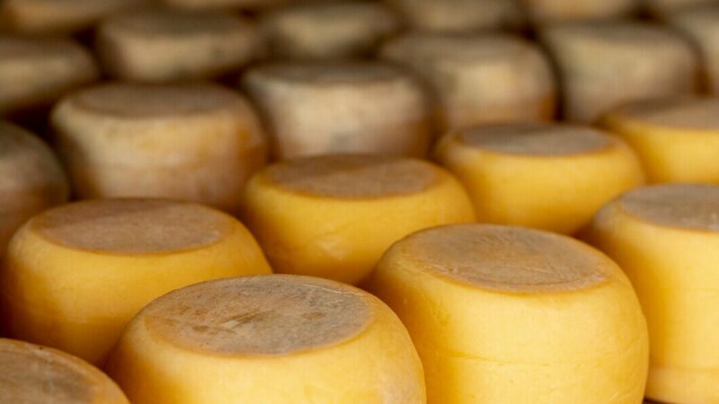 В Краснодаре из оборота изъяли 113 кг санкционных сыров и колбас