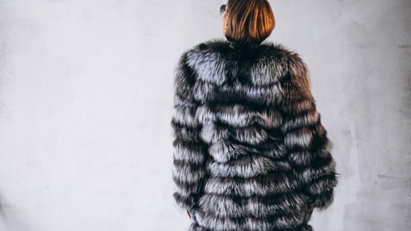 Траты жителей Кубани на покупку шуб в 2024 году выросли на треть