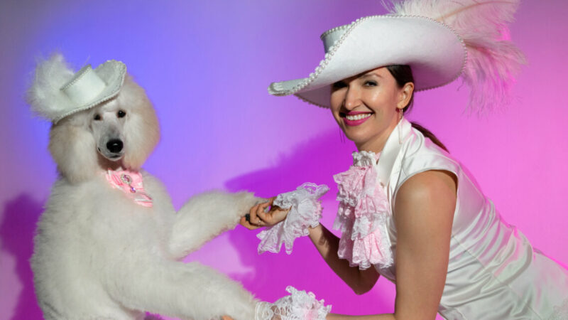 От сотрудника банка до чемпиона России по грумингу