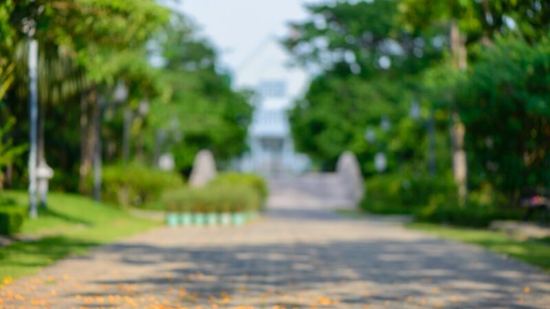 В Ростове в 2025 г. планируют разработать проект музея под открытым небом