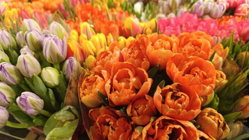 В Краснодаре набор из букета и десертов за 6 лет подорожали на 76%