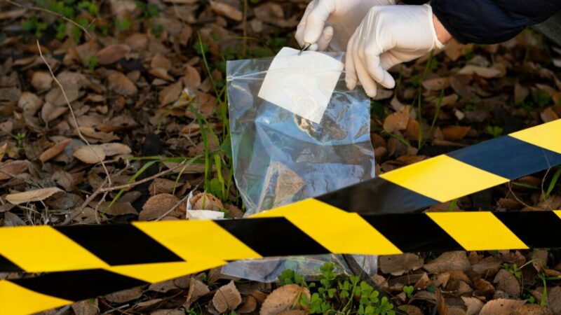 В Ростовской области от наркотиков в 2024 г. умерли 246 человек