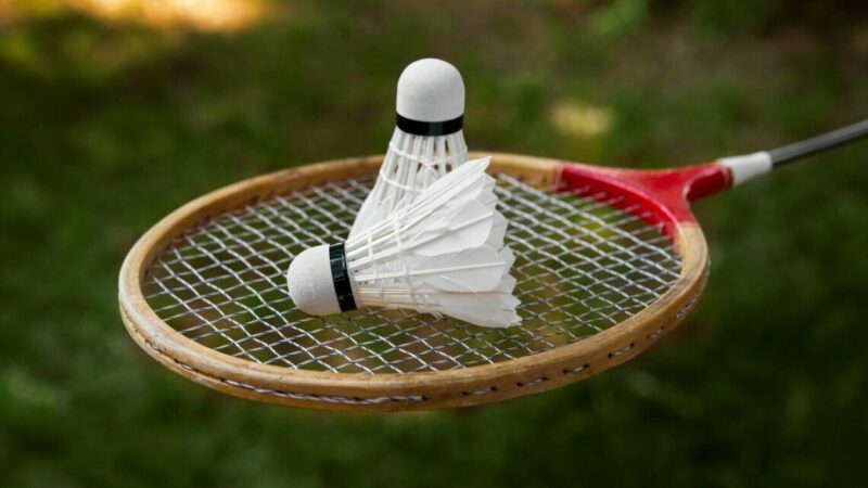 Занятия бадминтоном хотят ввести в школах Краснодара