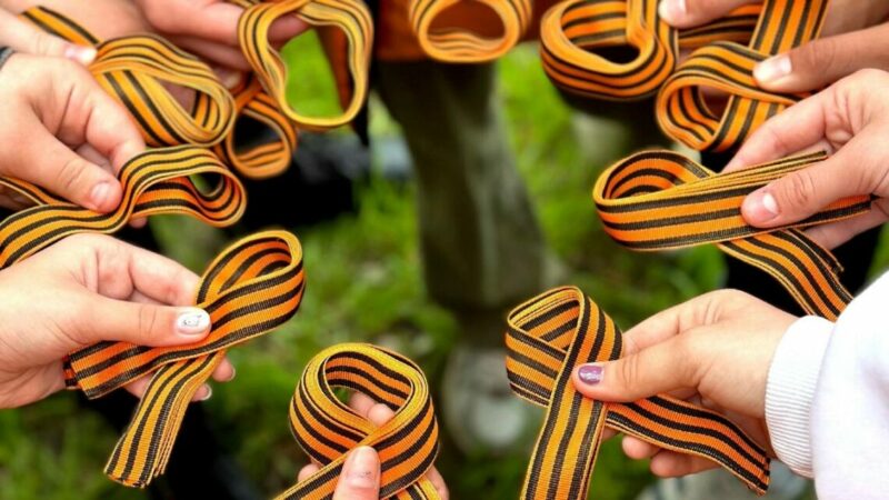 На Дону не будут проводить шествие «Бессмертного полка» в 2026 году