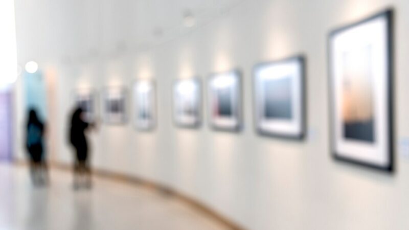 На Дону с начала 2025 года потратили более 80 млн руб. по «Пушкинской карте»