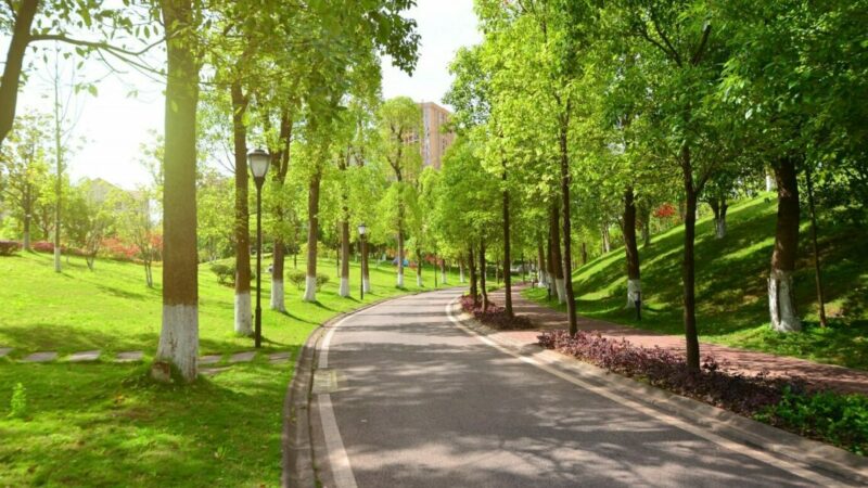 На Дону благоустроят поселок Несветай ГРЭС в Красном Сулине