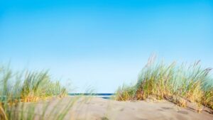 Вице-премьер Голикова заявила, что пляжи Анапы могут открыть в летнем сезоне