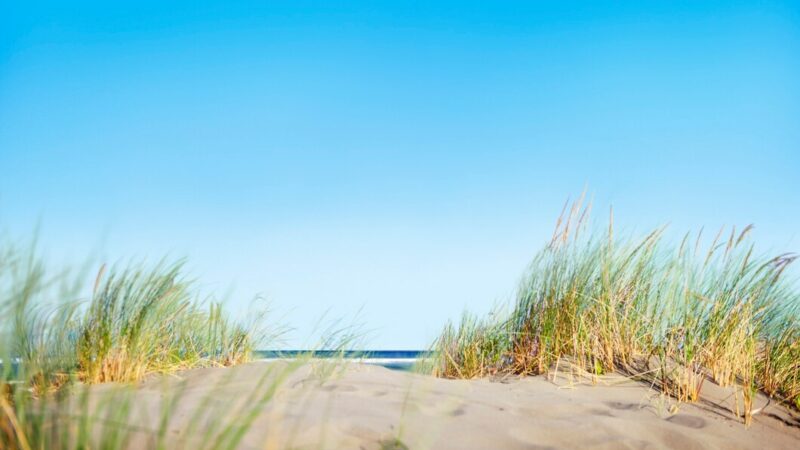 Стоимость размещения в отелях Анапы может вырасти на 20-25% при открытии пляжей