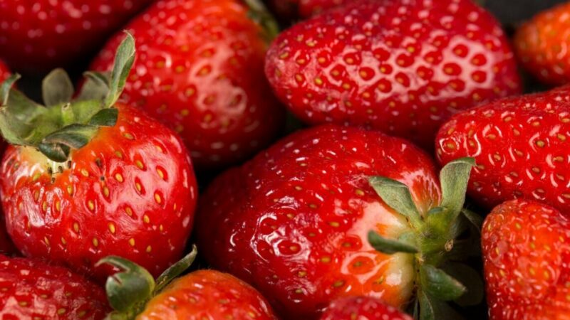Импорт клубники на Кубань в 2025 году сократился на треть