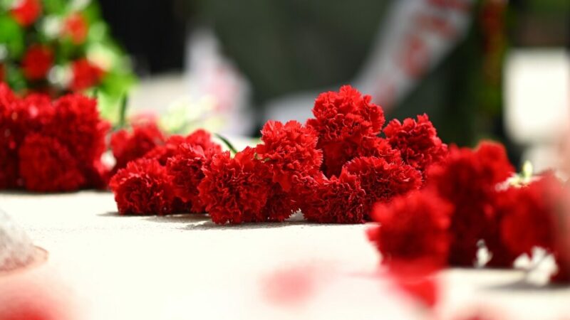 День Победы в Краснодаре: афиша мероприятий 