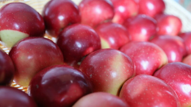 Объем отгрузки яблок из Краснодарского края в 2025 г. вырос на 28%