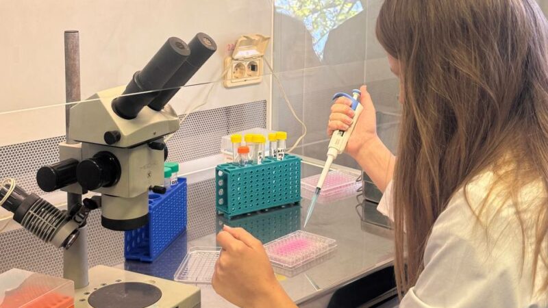 Кубань попала в топ-10 регионов РФ по патентованию изобретений МСП