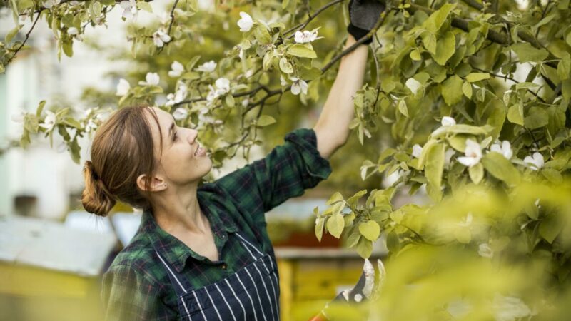 Сезонные работники: особенности найма и увольнения