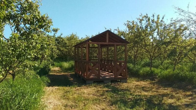 Сельская романтика: как семейная пара уехала из города в деревню, открыла экоферму и завела верблюда