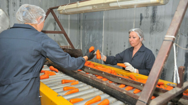 Как бизнес Юга повышает производительность труда