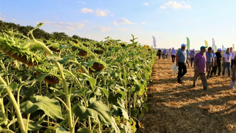 Эксперт объяснил, зачем на Кубани нужно искусственно вызывать осадки