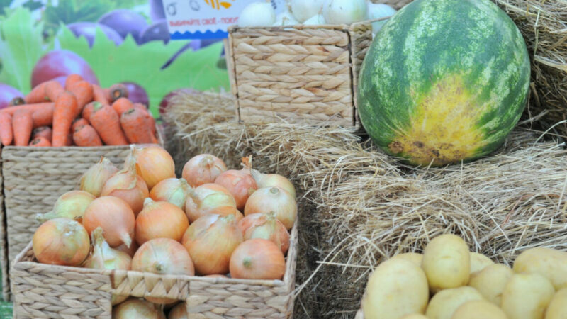 Выручка продавцов розничных рынков Дона выросла почти на 10% в 2025 г.