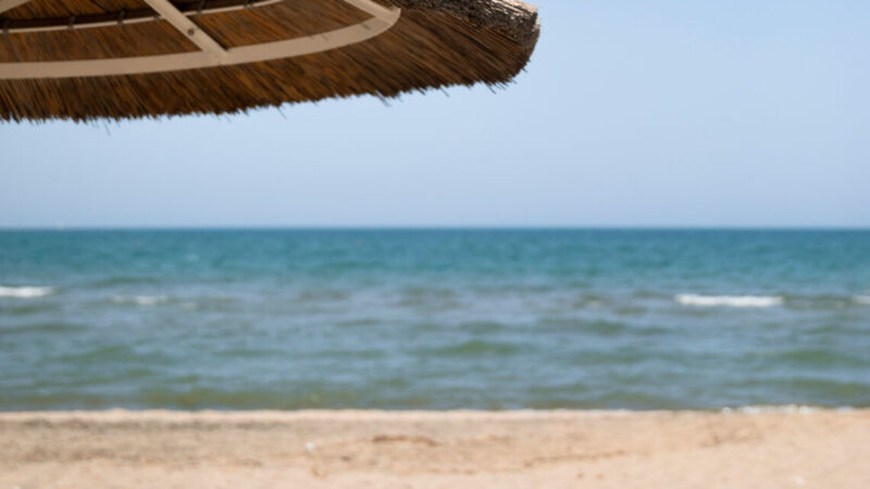 «Кубанское Приазовье» планируют сделать событийным и деловым курортом