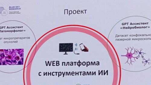 На Дону планируют зарегистрировать ИИ-платформу для анализа крови в 2026г.
