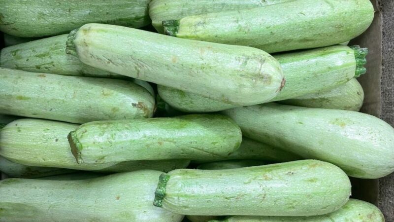 Проект предприятия по заморозке сельхозпродукции в Краснодаре завершат в 2026 г.