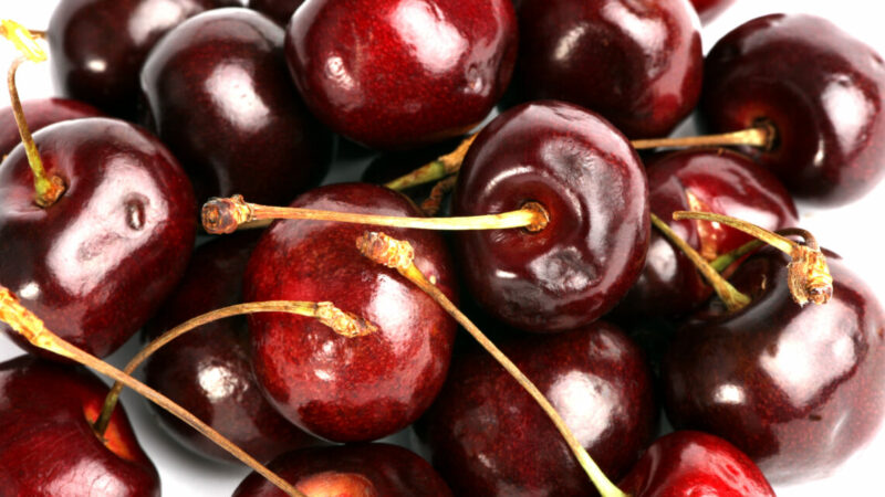 Сбор косточковых на Кубани снизился в 3,5 раза в 2025г.