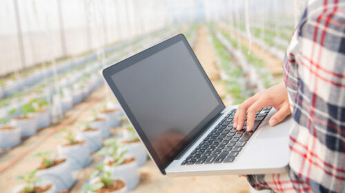 Время гибридных профессий: какие специалисты будут востребованы на рынке труда