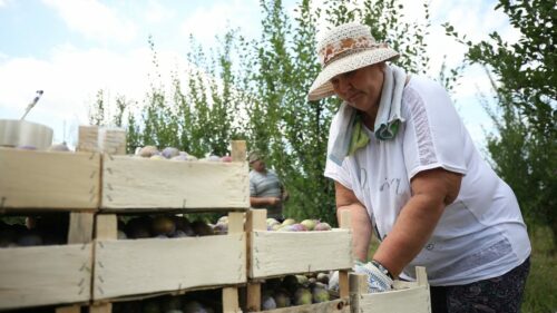 В РФ кадровая потребность в сфере АПК составляет 160 тыс. человек