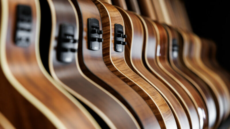 Ритм роста: как ростовские гитаристы превратили страсть к музыке в бизнес