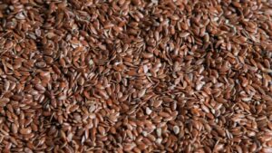 На Кубани в 2026 г. на развитие семеноводства направят более 580 млн рублей