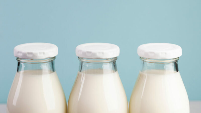 Производство молока на фермах  Дона снизилось на 5,4% в I кв. 2026 г.