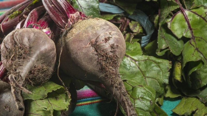 Темпы роста выручки ГК «Рост» замедлились почти в шесть раз