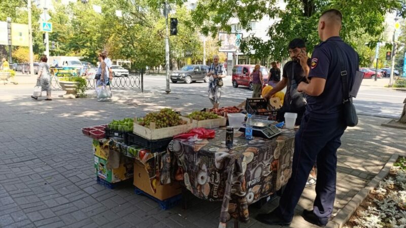 Приток мигрантов на Дон увеличился на 5% в 2025 году