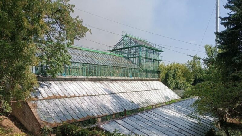 В Ботаническом саду ЮФУ рассказали, на что направляются собранные за вход средства