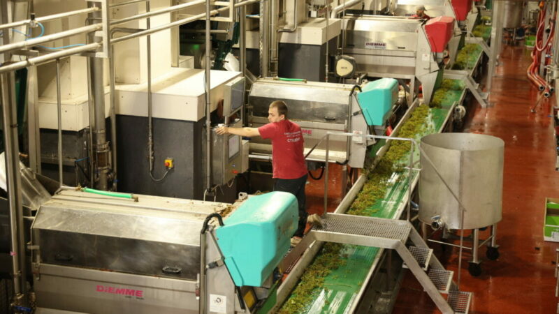 На Кубани в январе-октябре 2025 г. объем производства алкоголя вырос на 17%